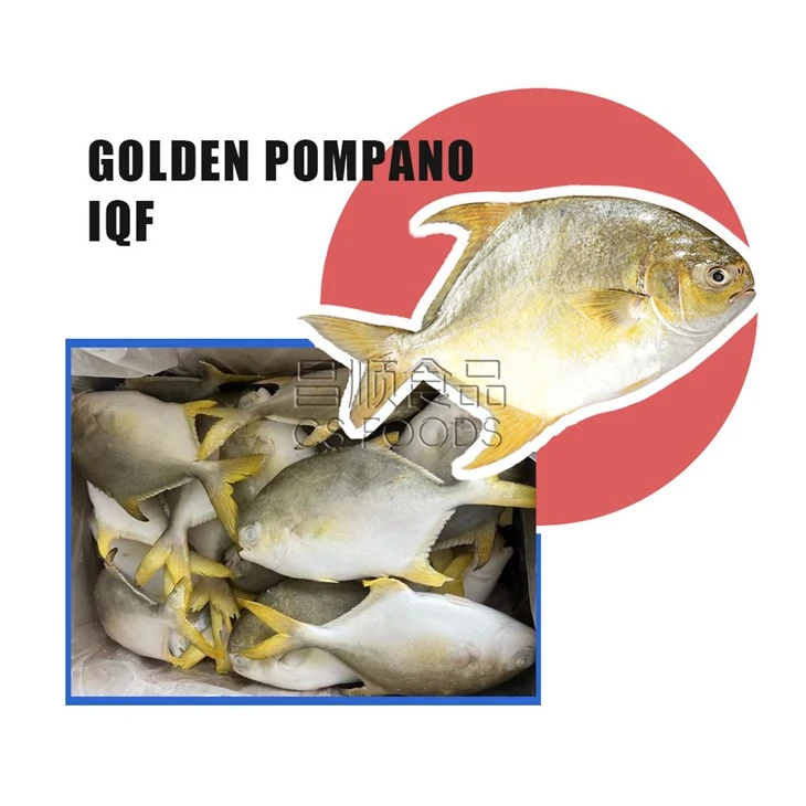 Light Catch Frozen Golden Pompano