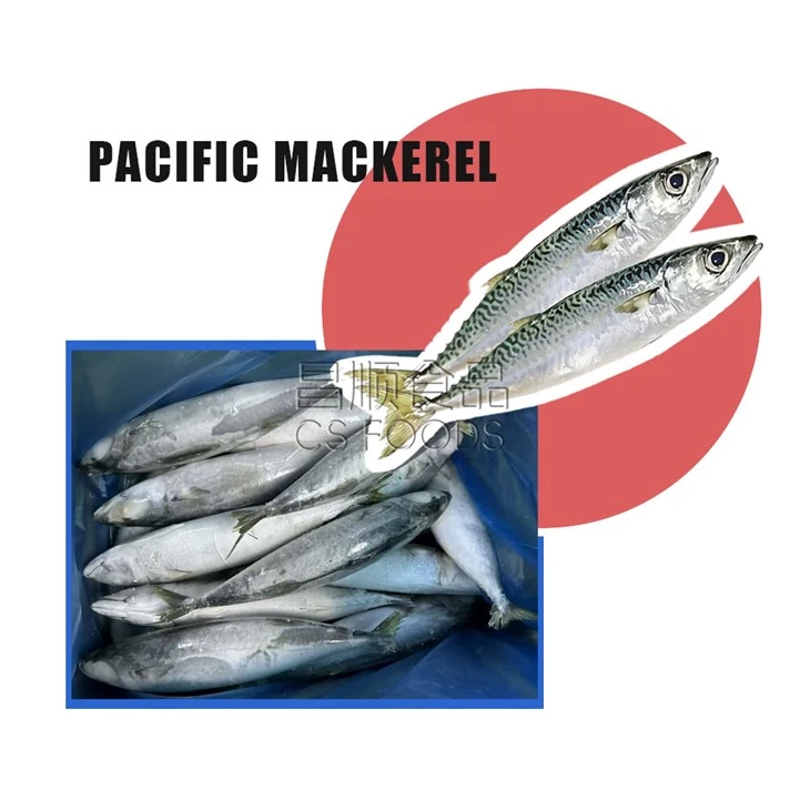 IQF Seafrozen Pacific Mackerel